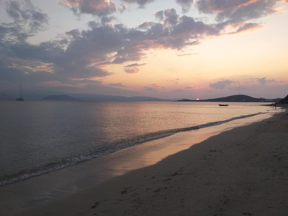 Villa Polemis Agia Anna  외부 사진